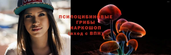 бошки Кукмор