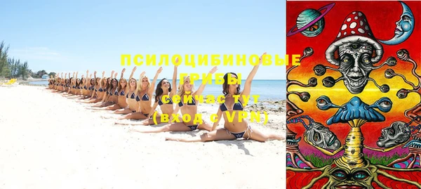 мдпв Кулебаки